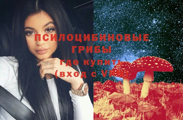 мяу мяу мука Алзамай